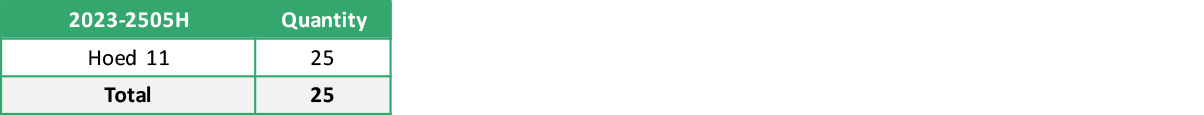 2023 2505H